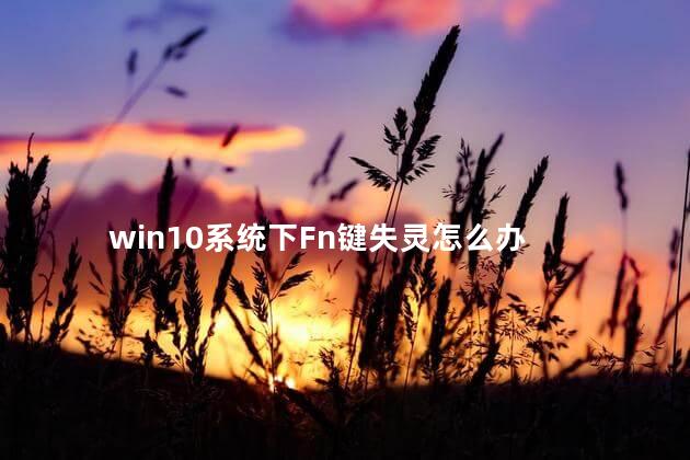 win10系统下Fn键失灵怎么办