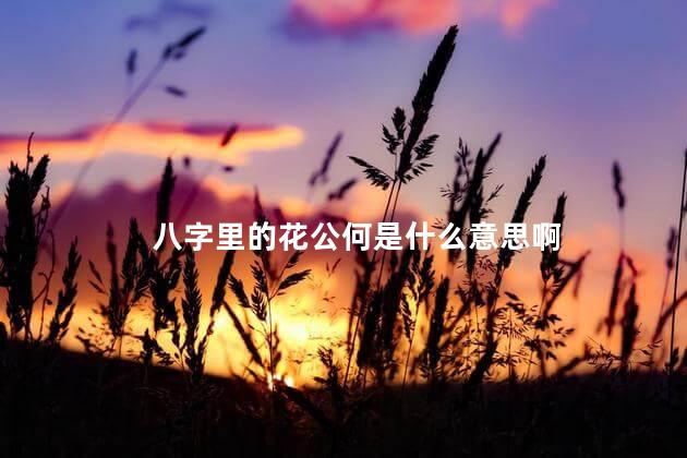 八字里的花公何是什么意思啊